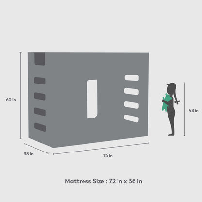 Little Buds Loft Bed